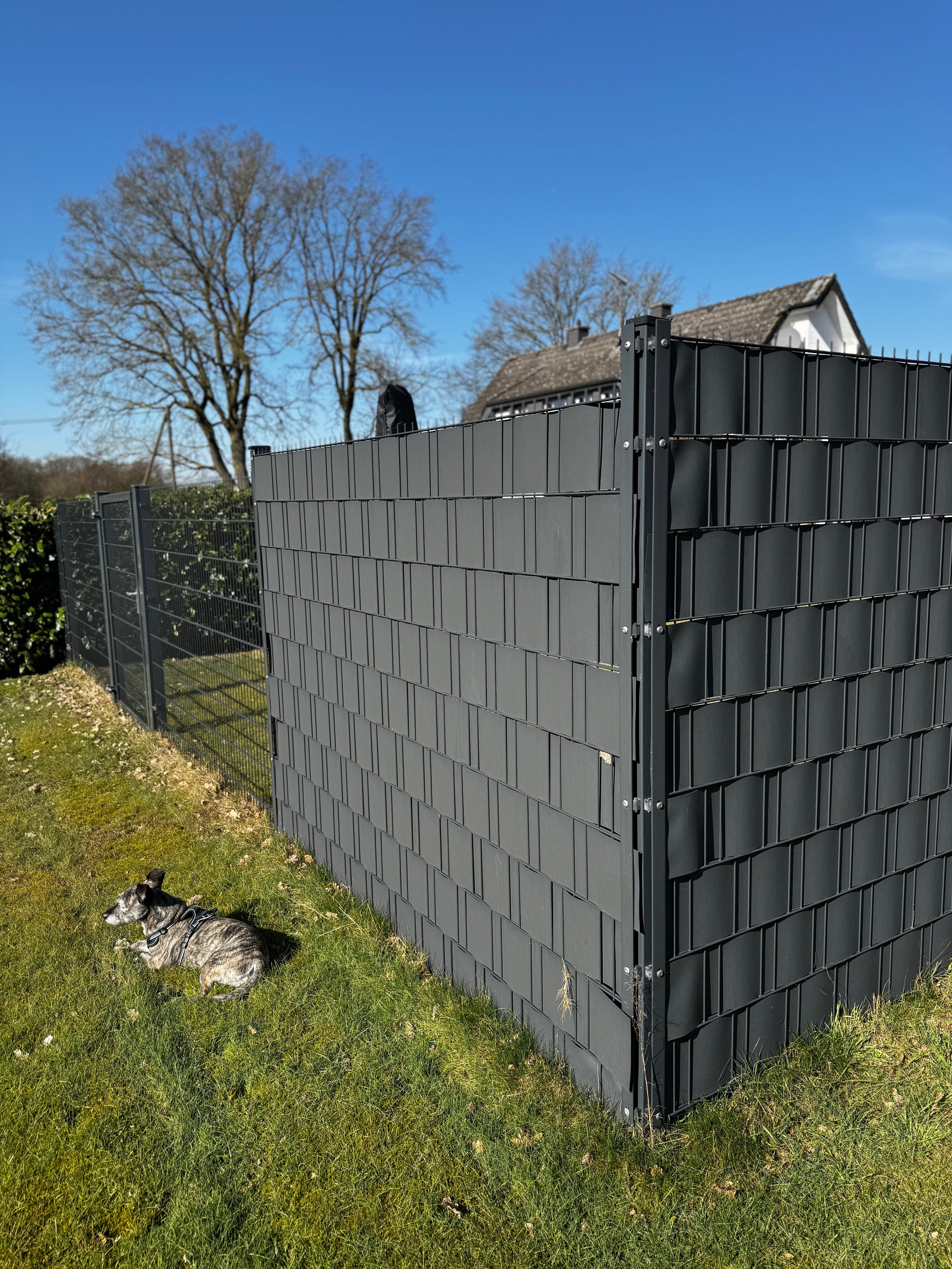 IMG_E0561.JPG__PID:8130682c-2f53-42a5-be57-c6d3e40c7514